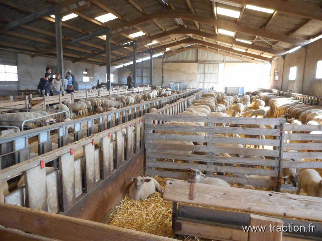 2016_Rodagef (2).JPG - 10/04/2016 - 68780 SENTHEIM - Visite de la ferme BISSLER